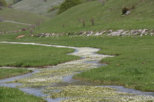 Pilgerwanderung auf dem Franziskusweg 2013