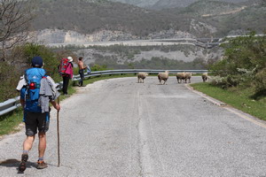 Pilgerwanderung auf dem Franziskusweg 2013