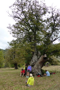 Pilgerwanderung auf dem Franziskusweg - Herbst 2014