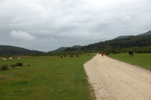 Pilgerwanderung auf dem Franziskusweg - Herbst 2014