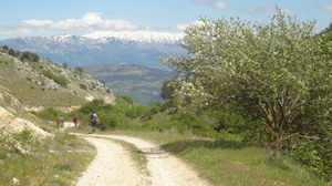 Pilgerwanderung auf dem Franziskusweg 2014