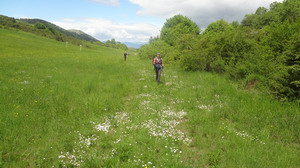 Pilgerwanderung auf dem Franziskusweg 2014