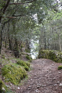Pilgerwanderung Ostern 2014