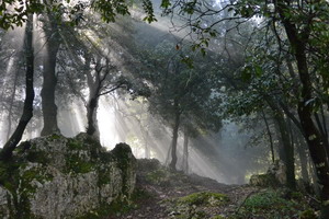 Pilgerwanderung Ostern 2014