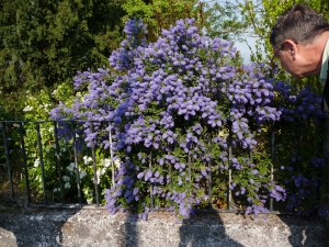 Pilgerwanderung 2011 - Paula Holzer