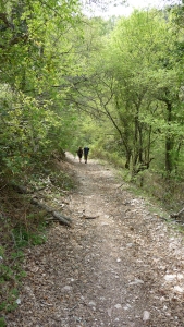 Pilgerwanderung 2011 - Paula Holzer